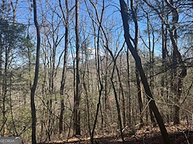 LOT 14 Butler Creek Road, Cherry Log, GA 30522