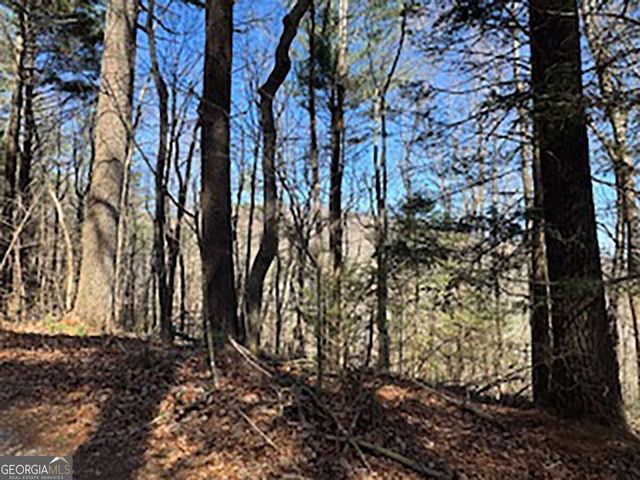LOT 14 Butler Creek Road, Cherry Log, GA 30522