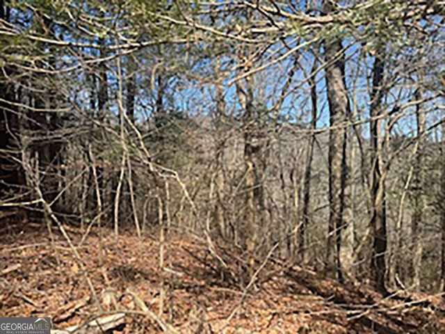 LOT 14 Butler Creek Road, Cherry Log, GA 30522
