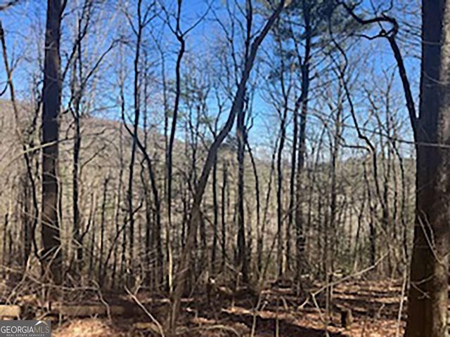LOT 14 Butler Creek Road, Cherry Log, GA 30522