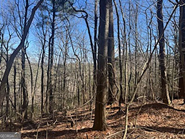 LOT 14 Butler Creek Road, Cherry Log, GA 30522
