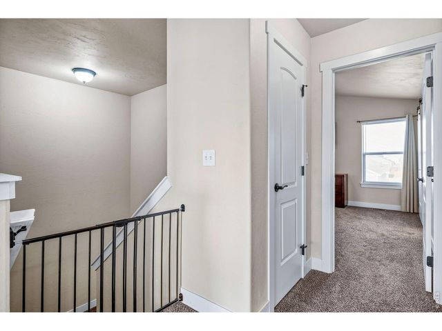 1114 Cottontail Ln, Wiggins, CO 80654