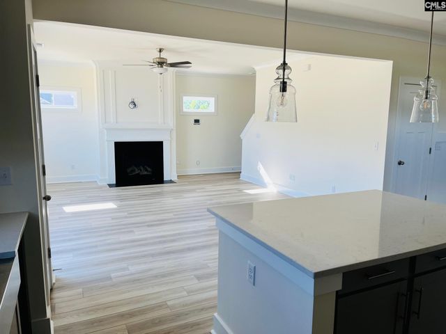 119 Balis Farm Circle, Blythewood, SC 29016