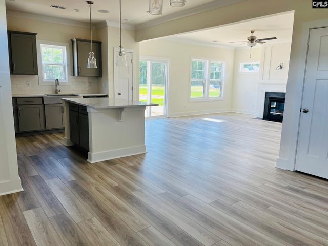 119 Balis Farm Circle, Blythewood, SC 29016