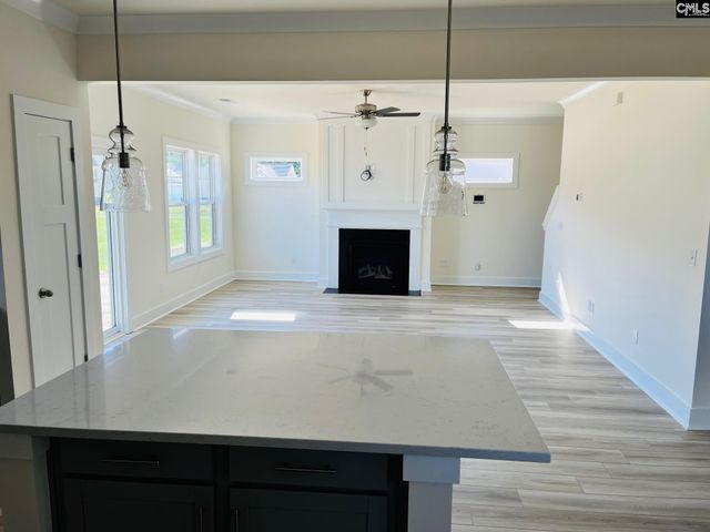 119 Balis Farm Circle, Blythewood, SC 29016