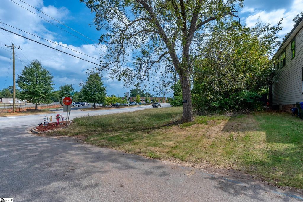 113 Dunbar Street, Greenville, SC 29601