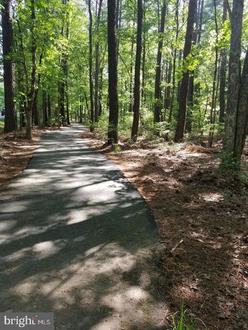 11207 VALOR BRIDGE DR, Spotsylvania, VA 22551