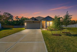 302 Alder Loop, Anahuac, TX 77514
