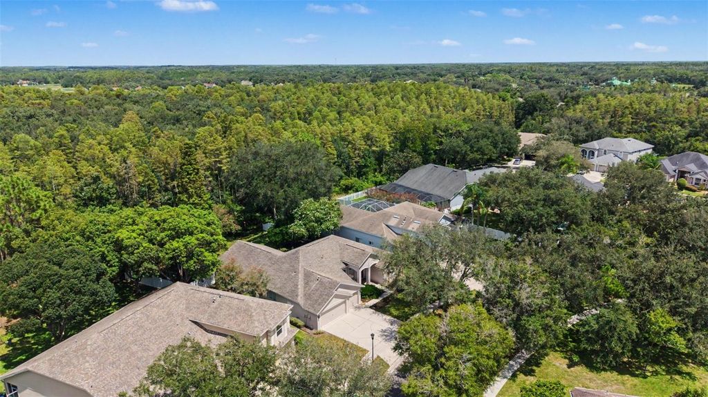 Image 41 of property listing at 19205 AUTUMN WOODS AVENUE, Tampa, FL 33647