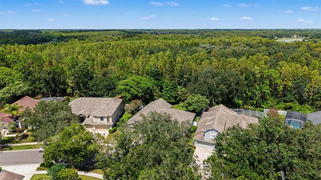 Image 42 of property listing at 19205 AUTUMN WOODS AVENUE, Tampa, FL 33647
