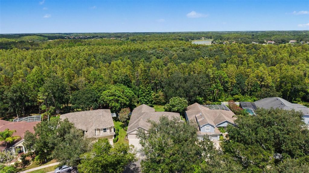 Image 43 of property listing at 19205 AUTUMN WOODS AVENUE, Tampa, FL 33647