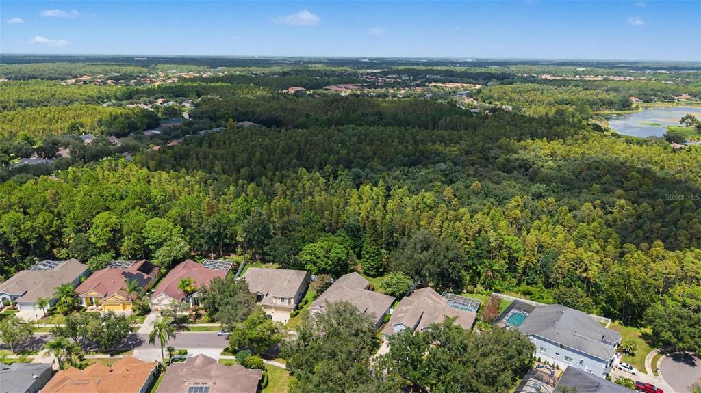 Image 44 of property listing at 19205 AUTUMN WOODS AVENUE, Tampa, FL 33647