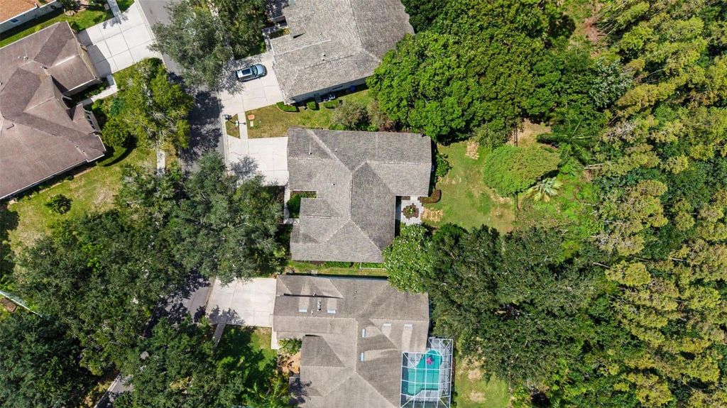Image 45 of property listing at 19205 AUTUMN WOODS AVENUE, Tampa, FL 33647
