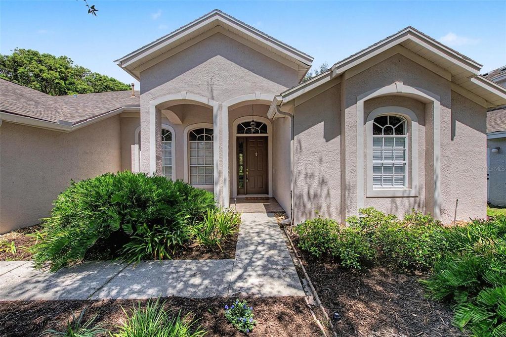 Image 46 of property listing at 19205 AUTUMN WOODS AVENUE, Tampa, FL 33647
