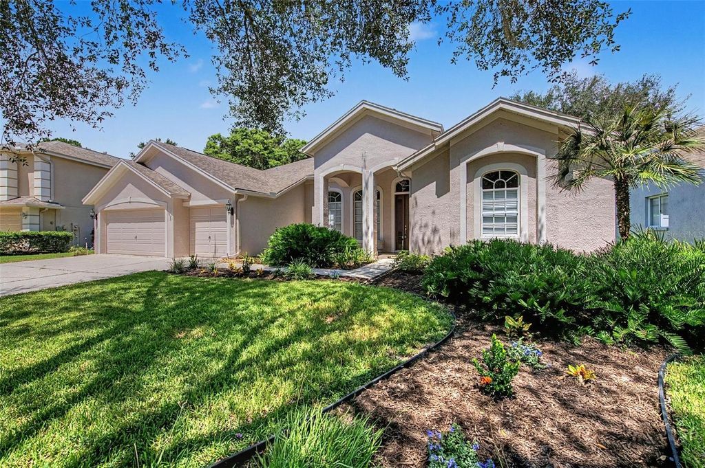 Image 48 of property listing at 19205 AUTUMN WOODS AVENUE, Tampa, FL 33647