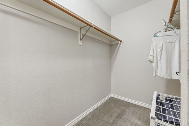 1817 Lake Whitney Lane, Allen, TX 75002