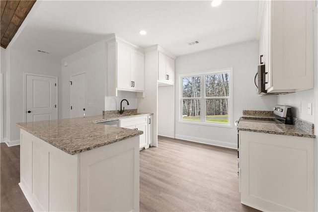 50 Hawks Ridge Ct, Cleveland, GA 30528