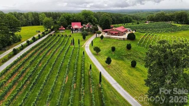 98 Lexxi Lane, Tryon, NC 28782