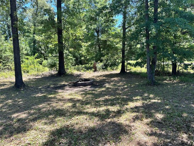 476 W Woodland Shores Drive, Point Blank, TX 77364