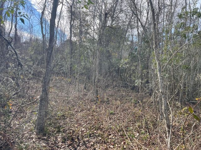 TBD St. Joseph, Waveland, MS 39576