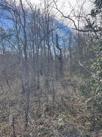 TBD St. Joseph, Waveland, MS 39576