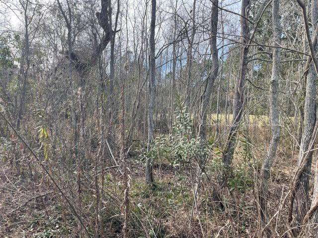 TBD St. Joseph, Waveland, MS 39576