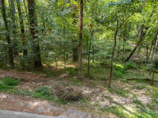 0 Drexel Circle, Clinton, MS 39056