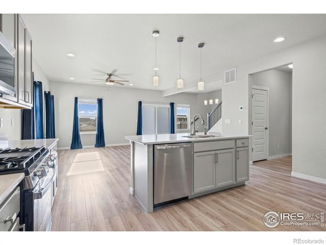 971 Mouflon Drive, Severance, CO 80550