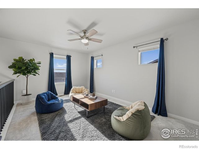 971 Mouflon Drive, Severance, CO 80550