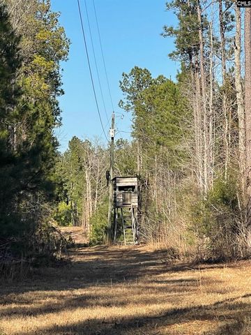 53 Baker Road, Whitmire, SC 29178