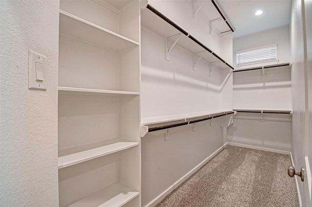 315 N Spotted Fern Drive, Montgomery, TX 77316