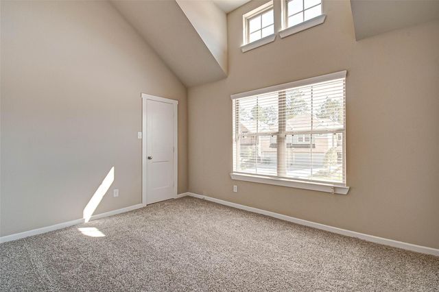 315 N Spotted Fern Drive, Montgomery, TX 77316