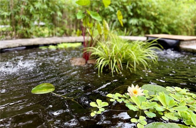 1904 Lenox NE Road, Atlanta, GA 30306