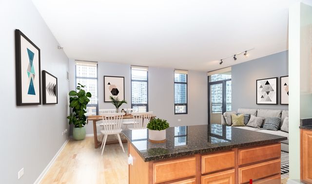 1255 S STATE Street 917, Chicago, IL 60605