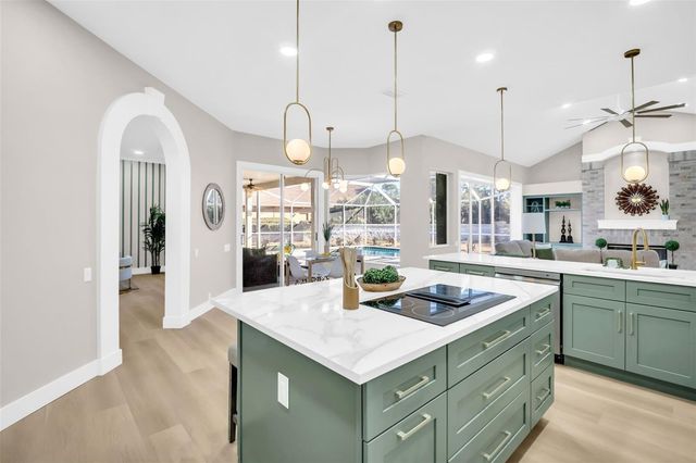 9138 CALLAWAY DRIVE, Trinity, FL 34655