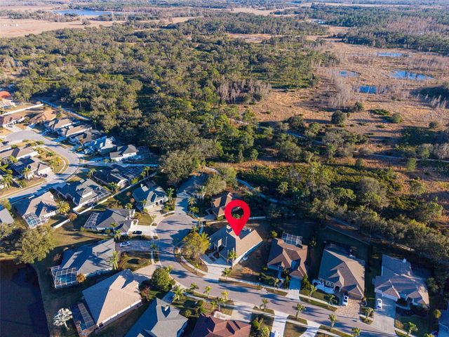 9138 CALLAWAY DRIVE, Trinity, FL 34655