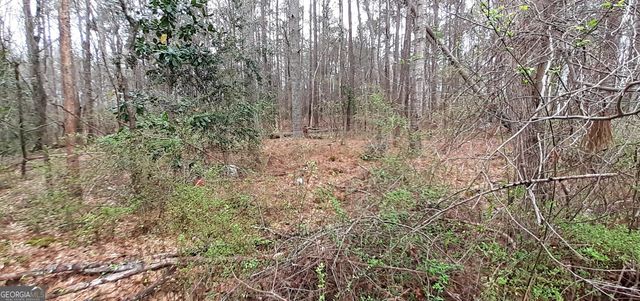 100 Lovelace Street, Newnan, GA 30263