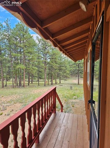 480 Blue Mountain Drive, Florissant, CO 80816