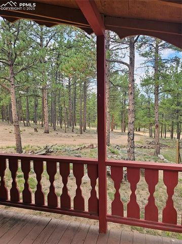 480 Blue Mountain Drive, Florissant, CO 80816