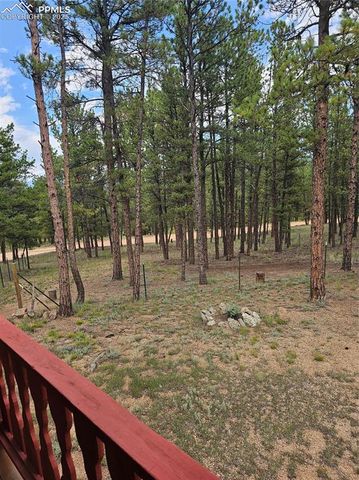 480 Blue Mountain Drive, Florissant, CO 80816
