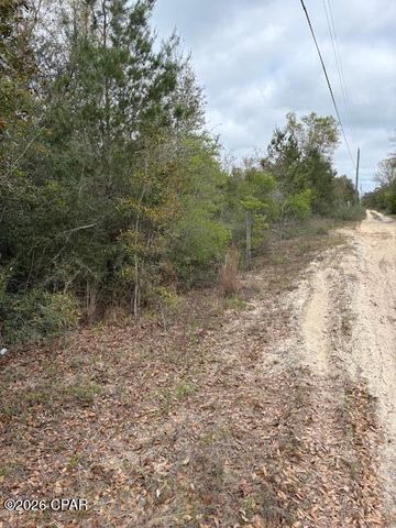 na Pecan Shadows Drive, Youngstown, FL 32466