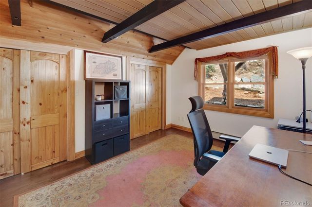 29310 Buchanan Drive, Evergreen, CO 80439