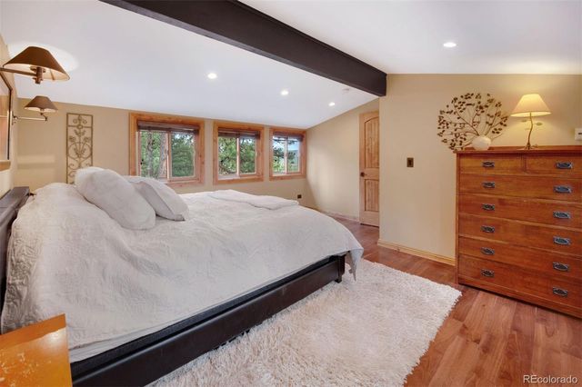 29310 Buchanan Drive, Evergreen, CO 80439