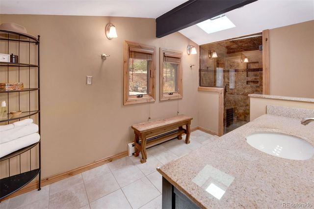 29310 Buchanan Drive, Evergreen, CO 80439