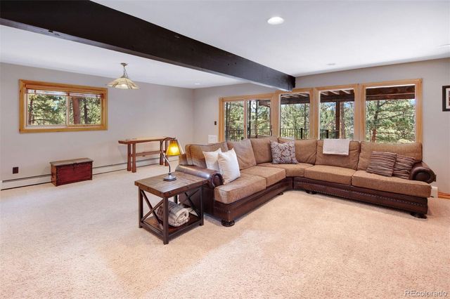 29310 Buchanan Drive, Evergreen, CO 80439