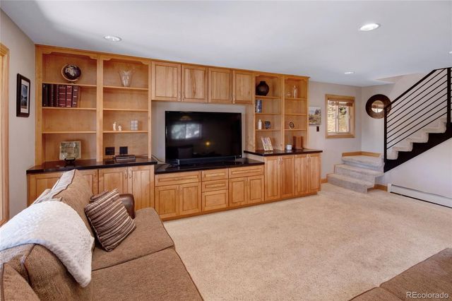 29310 Buchanan Drive, Evergreen, CO 80439