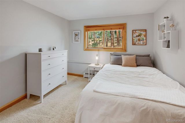 29310 Buchanan Drive, Evergreen, CO 80439