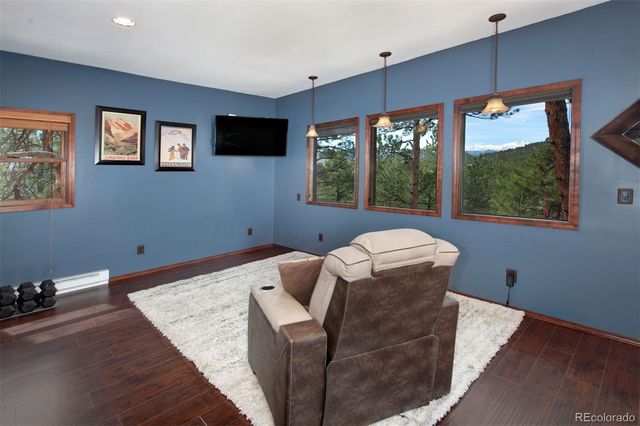 29310 Buchanan Drive, Evergreen, CO 80439