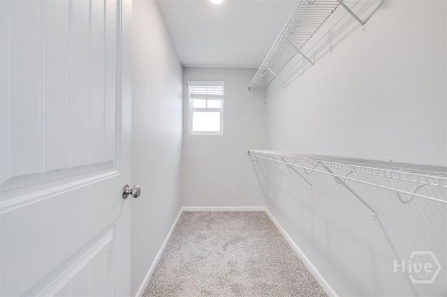 30 Marsh Salt Lane, Port Wentworth, GA 31407