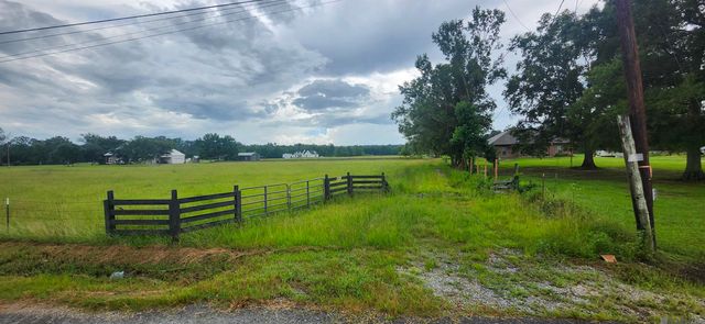 TBD Butch Gore Rd, St Amant, LA 70774